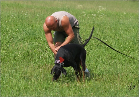 Cliff - training 6/2007